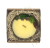 IMG_3343.png