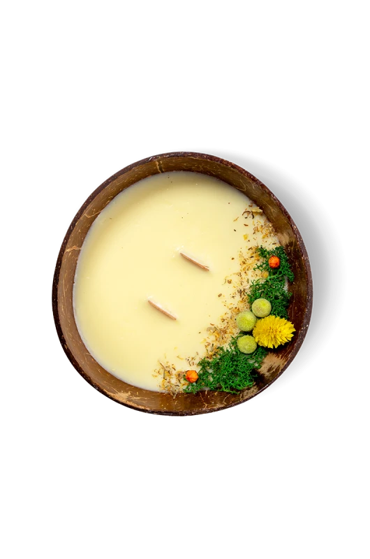 17-VITO-swiece-solo-top-gruszka.png